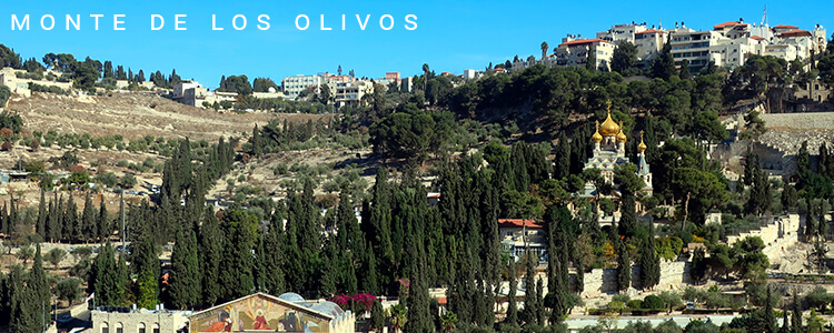 DÍA 13 JERUSALÉN • MONTE DE LOS OLIVOS •JERUSALEN (viernes)