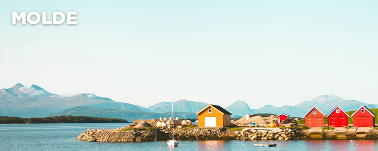 Imagen de Molde